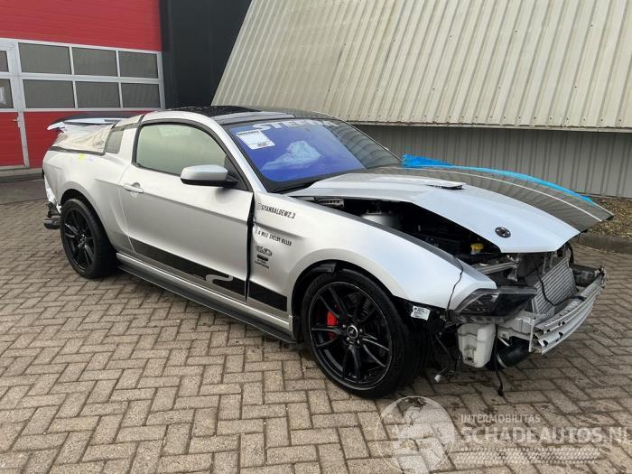 Ford USA Mustang Mustang V, Coupe, 2004 / 2015 5.0 GT V8 32V