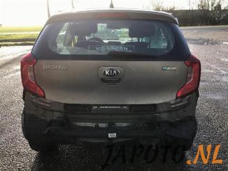 Kia Picanto Picanto (JA), Hatchback, 2017 1.0 12V picture 6
