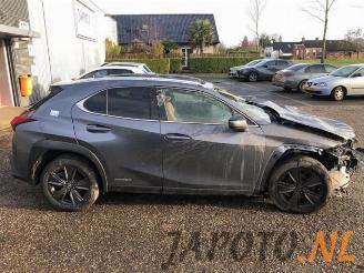 Lexus UX UX, SUV, 2019 250h 2.0 16V picture 6