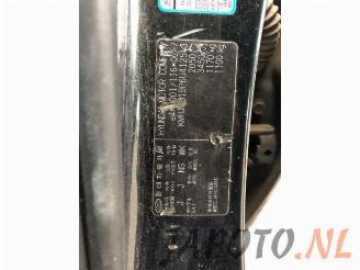 Hyundai Tucson Tucson (JM), SUV, 2004 / 2010 2.0 16V CVVT 4x2 picture 14