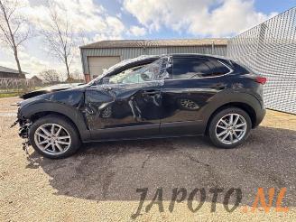 Mazda CX-30  picture 2