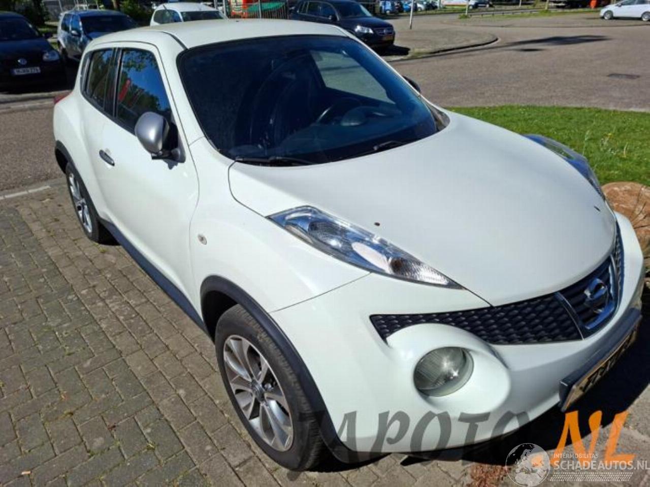 Nissan Juke Juke (F15), SUV, 2010 / 2019 1.6 16V