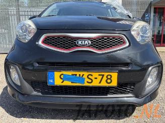 Kia Picanto Picanto (TA), Hatchback, 2011 / 2017 1.0 12V picture 16