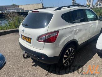 Nissan Qashqai Qashqai (J10), SUV, 2007 / 2014 1.6 16V picture 3