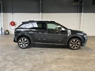 Citroën C4 cactus 1.2 PureTech Rip Curl 100.000 NAP! picture 6