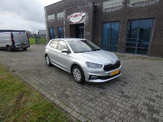 Skoda Fabia 1.0 TSI Selection picture 2