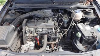 Volkswagen Golf III Cabrio (1E) Cabrio 1.8 (AAM) [55kW] picture 4