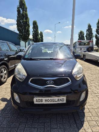 Uttjänta bilar auto Kia Picanto (TA) Hatchback 1.0 12V (G3LA) [51kW] 5-BAK 2012/1
