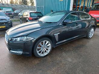 Vaurioauto  passenger cars Jaguar XF 2.2 Diesel 2014/1