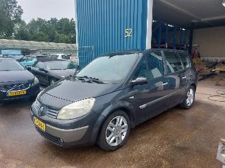 Avarii autoturisme Renault Grand-scenic Grand Scénic II (JM) MPV 2.0 16V 2005/11