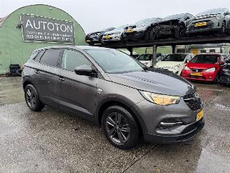  Opel Grandland X 1.2 Turbo 96KW Clima Navi Led 120 Jaar Edition NAP 2019/7