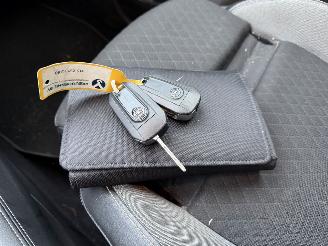 Opel Grandland X 1.2 Turbo 96KW Clima Navi Led 120 Jaar Edition NAP picture 14