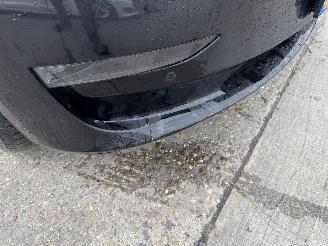 Tesla Model 3 75 kWh Long Range 258KW AWD Pano Clima Navi NAP picture 11