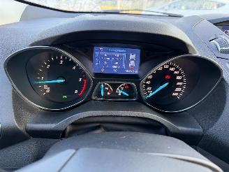 Ford Kuga 2.0 TDCI 132KW 4WD Clima Navi Titanium picture 14