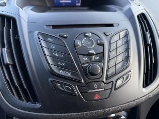 Ford Kuga 2.0 TDCI 132KW 4WD Clima Navi Titanium picture 13