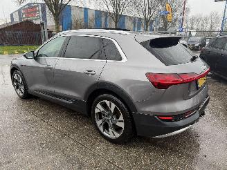 Damaged car Audi E-tron 71 kWh 50 Quattro 230KW Pano Clima Navi Leer Led Camera 2020/3