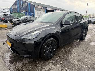 skadebil auto Tesla Model Y 58 kWh 175KW RWD Pano Clima Navi NAP 2024/9