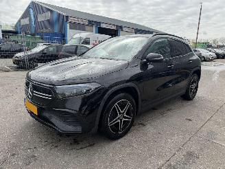 Mercedes EQA 67 kWh 140KW AMG solution Business Sfeerverlichting Clima Navi Camera NAP picture 1