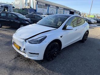 Tesla Model Y 75 kWh Performance 462PK AWD Pano Clima Navi picture 2