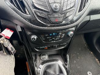 Ford B-Max 1.0 Ecoboost 74KW Titanium Clima Led NAP picture 11
