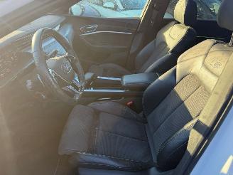 Audi E-tron 55 95 kWh 300KW Quattro Advanced Pano Clima Navi Led Xenon picture 6