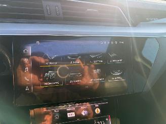 Audi E-tron 55 95 kWh 300KW Quattro Advanced Pano Clima Navi Led Xenon picture 8
