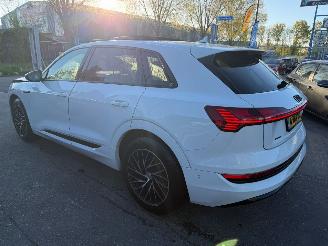 Audi E-tron 55 95 kWh 300KW Quattro Advanced Pano Clima Navi Led Xenon picture 3