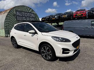 Damaged car Ford Kuga 2.5 PHEV 112KW Autom. Pano Clima Navi ST-Line X NAP 2023/5