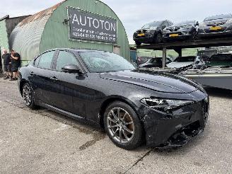 Alfa Romeo Giulia 2.0T 147KW Autom. Super Clima Navi NAP picture 1