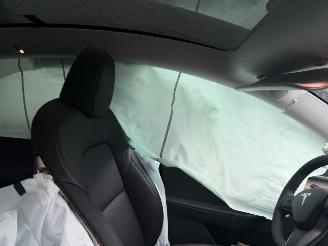 Tesla Model Y 75 kWh Long Range RWD 258KW Pano Clima Navi NAP picture 12
