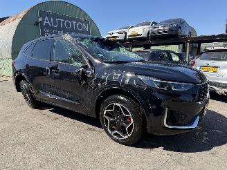 Schadeauto Ford Kuga 2.5 PHEV 178KW Autom. ST-Line X Pano Clima Navi Camera Led NAP 2026/3