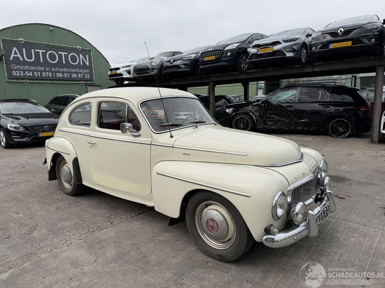 Volvo PV-544 C kattenrug