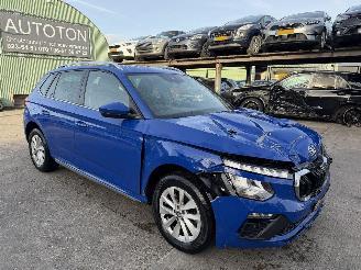 damaged passenger cars Skoda Kamiq 1.0 TSI 85KW DSG Clima Navi Camera Business Edition 2024/5