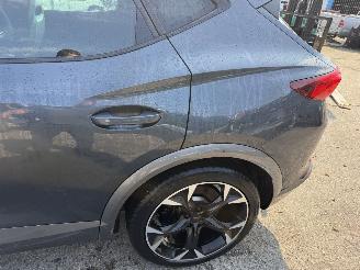 Cupra Formentor 1.4 e-Hybrid 150KW Autom Clima Navi Led Camera Performance picture 22
