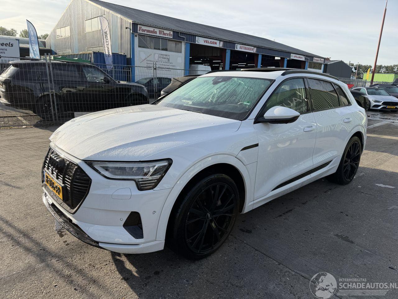Audi E-tron 55 Quattro 95 kWh 408PK Pano Clima Navi Advanced Pro HUD