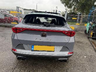 Cupra Formentor 2.0 TSI 310PK 4Drive VZ Pano Clima Navi Camera picture 5