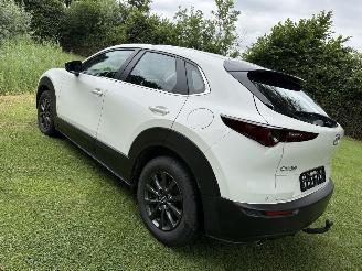 Mazda CX-30 2.5 Hybrid picture 3