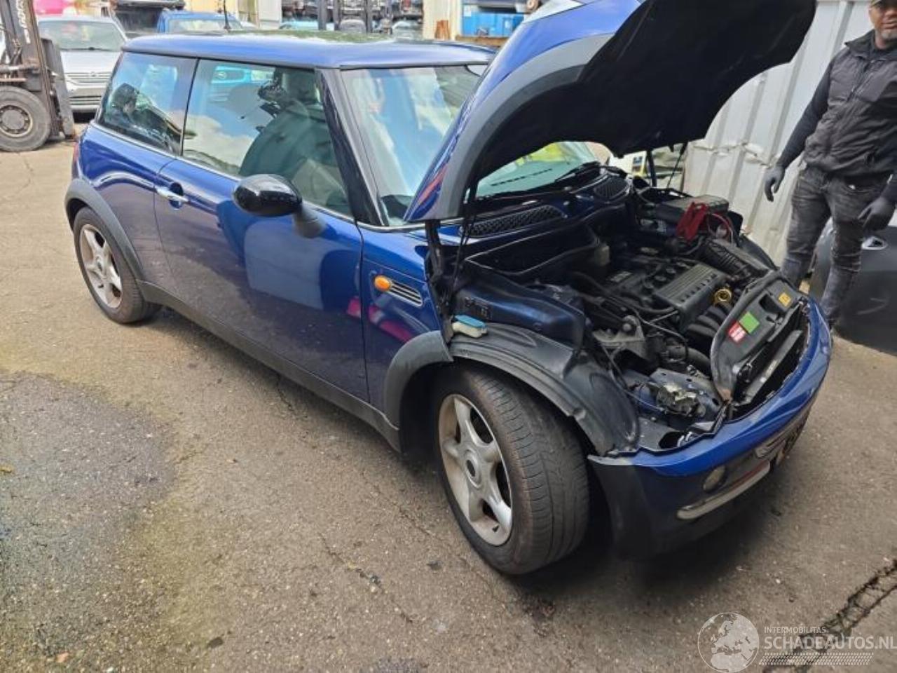 Mini Mini 