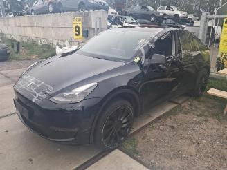 Dezmembrări autoturisme Tesla Model Y Model Y (5YJY), SUV, 2019 / 2025 Long Range,Performance 2022