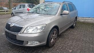 Skoda Octavia Octavia Combi (1Z5) Combi 5-drs 1.2 TSI (CBZB) [77kW]  (02-2010/04-201=
3) picture 4