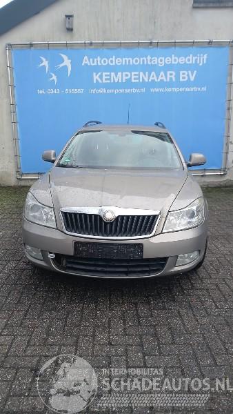 Skoda Octavia Octavia Combi (1Z5) Combi 5-drs 1.2 TSI (CBZB) [77kW]  (02-2010/04-201=
3)