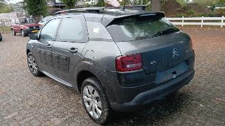 Citroën C4 C4 Cactus (0B/0P) Hatchback 5-drs 1.2 PureTech 82 12V (EB2F(HMZ)) [60k=
W]  (09-2014/...) picture 3