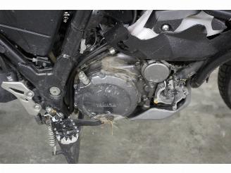 Yamaha XT 660 Z Tenere ABS picture 8