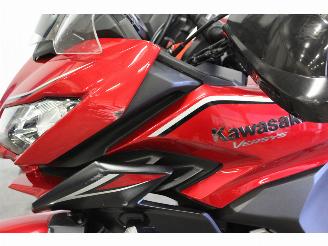 Kawasaki Versys 1000 picture 5