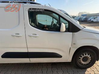 Opel Combo Combo Cargo, Van, 2018 1.5 CDTI 130 picture 13