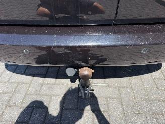 Volkswagen   picture 22