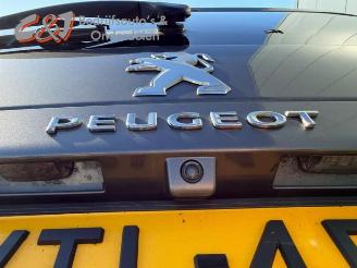 Peugeot Expert Expert (V1/VA/VB/VE/VF/VT/VY), Van, 2016 2.0 Blue HDi 180 16V picture 11