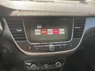 Opel Crossland PANODAK picture 7