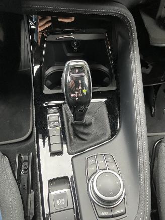 BMW X2 SDRIVE18I picture 12