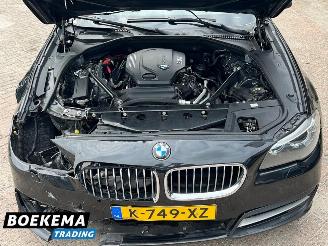 BMW 5-serie 518d High Executive Xenon HUD Keyless Climate Cruise PDC Trekh. picture 8